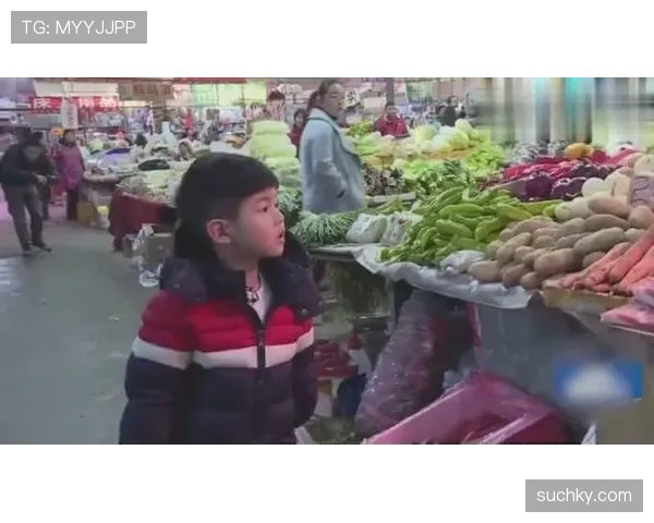 管晨辰提着名牌菜篮逛菜市场，那反差把我笑瘫了