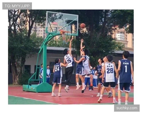 详解篮球比赛最后一投判定规则，确保公平公正裁决